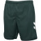 hummel SV Werder Bremen Ausweichshorts 2023/24 6108 - scarab 4XL