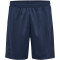 hummel hmlACTIVE Poly Shorts 7364 - total eclipse L