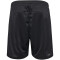 hummel hmlACTIVE Poly Shorts 2001 - black S