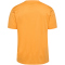 hummel hmlACTIVE Poly Trikot 3237 - blazing orange M