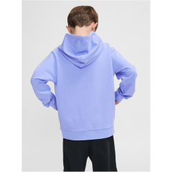 hummel hmlCUATRO Circle Hoodie Kinder 3381 - hydrangea 104