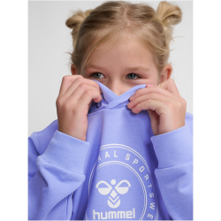 hummel hmlCUATRO Circle Hoodie Kinder 3381 - hydrangea 104