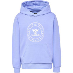 hummel hmlCUATRO Circle Hoodie Kinder 3381 - hydrangea 104