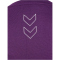 hummel hmlTE TOLA T-Shirt Damen 3397 - imperial purple XS
