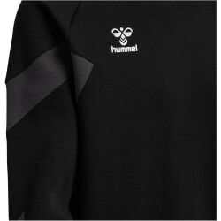hummel hmlTRAVEL Sweat-Hoodie 2001 - black M
