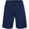 hummel hmlAUTHENTIC Woven Shorts 7026 - marine M