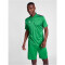 hummel hmlAUTHENTIC Funktions-Poloshirt 6235 - jelly bean L