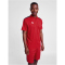 hummel hmlAUTHENTIC Funktions-Poloshirt 3062 - true red XS