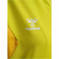 hummel Authentic Poly Kapuzenjacke Damen 5269 - blazing yellow XS