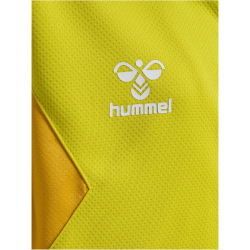 hummel Authentic Poly Kapuzenjacke Kinder 5269 - blazing yellow 116