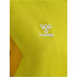 hummel Authentic Poly Kapuzenjacke 5269 - blazing yellow S