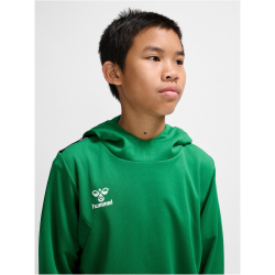 hummel Authentic Poly Hoodie Kinder 6235 - jelly bean 116