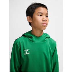 hummel hmlAUTHENTIC Poly Hoodie Kinder 6235 - jelly bean 116