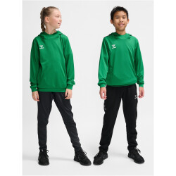 hummel hmlAUTHENTIC Poly Hoodie Kinder 6235 - jelly bean 116