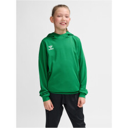 hummel hmlAUTHENTIC Poly Hoodie Kinder 6235 - jelly bean 116