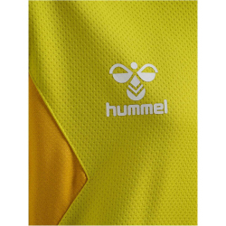 hummel Authentic Poly Hoodie Kinder 5269 - blazing yellow 116
