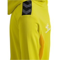 hummel Authentic Poly Hoodie Kinder 5269 - blazing yellow 116