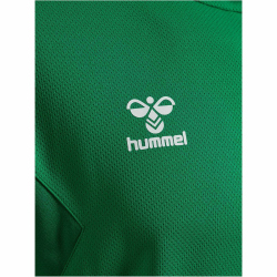 hummel Authentic Poly Hoodie 6235 - jelly bean XS