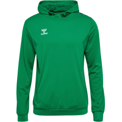 hummel hmlAUTHENTIC Poly Hoodie 6235 - jelly bean XS