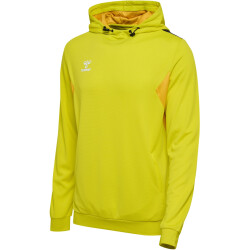 hummel hmlAUTHENTIC Poly Hoodie 5269 - blazing yellow XS