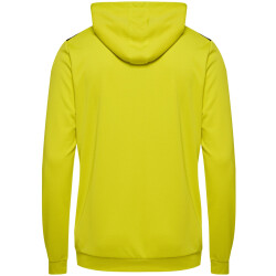 hummel hmlAUTHENTIC Poly Hoodie 5269 - blazing yellow XS