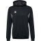 hummel hmlAUTHENTIC Poly Hoodie 2001 - black XS