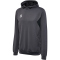 hummel Authentic Poly Hoodie 1525 - asphalt 3XL