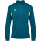 hummel hmlAUTHENTIC 1/2-Zip Sweatshirt 6834 - blue coral/sulphur spring XL