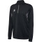 hummel hmlAUTHENTIC 1/2-Zip Sweatshirt 2001 - black XS