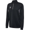 hummel hmlAUTHENTIC 1/2-Zip Sweatshirt 2001 - black M