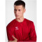hummel hmlAUTHENTIC Poly langarm Trikot 3062 - true red XS