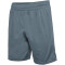 hummel hmlTE TOPAZ Shorts Herren 7007 - stormy weather S