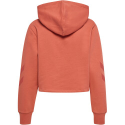hummel hmlLEGACY Cropped Hoodie Damen 3222 - apricot...