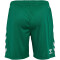 hummel Core XK Poly Shorts Herren 6140 - evergreen S