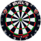 BULLS Focus II Plus Steeldartscheibe