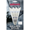 Unicorn Silver Star Gary Anderson Soft Darts