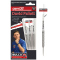 BULLS Champions David Pallett G2 Steel Darts 22 g