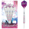Unicorn Autograph Style 3 Steel Darts 25 g