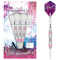 Unicorn Autograph Style 2 Steel Darts 30 g