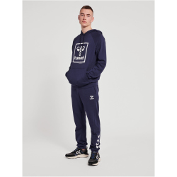 hummel hmlISAM 2.0 Hoodie Herren