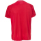 Select Monaco Handballtrikot Herren rot/weiß S