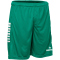 DERBYSTAR Primo Shorts Kinder grün/weiß 164