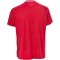 DERBYSTAR Primo Fußballtrikot Herren rot/weiß S