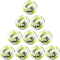 10er Ballpaket NIKE Pitch Fußball