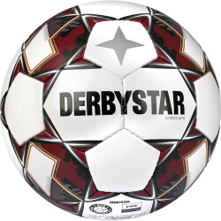 10er Ballpaket DERBYSTAR Atmos APS Spielball...