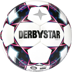 10er Ballpaket DERBYSTAR Tempo TT Trainingsfußball...