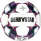 10er Ballpaket DERBYSTAR Tempo TT Trainingsfußball weiß/blau 5