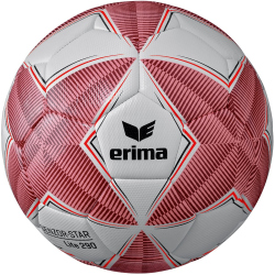 10er Ballpaket erima Senzor-Star Lite 290g...