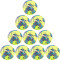 10er Ballpaket PUMA Orbita 1 TB Fußball lemon tonic/multi colour 5