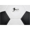 10er Ballpaket DERBYSTAR Bundesliga Brillant APS Classic Fußball 2023/24